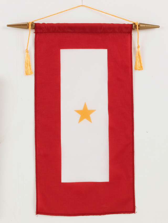 2516-Gold-Star-Banner