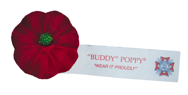 BuddyPoppy_COB_Rotated